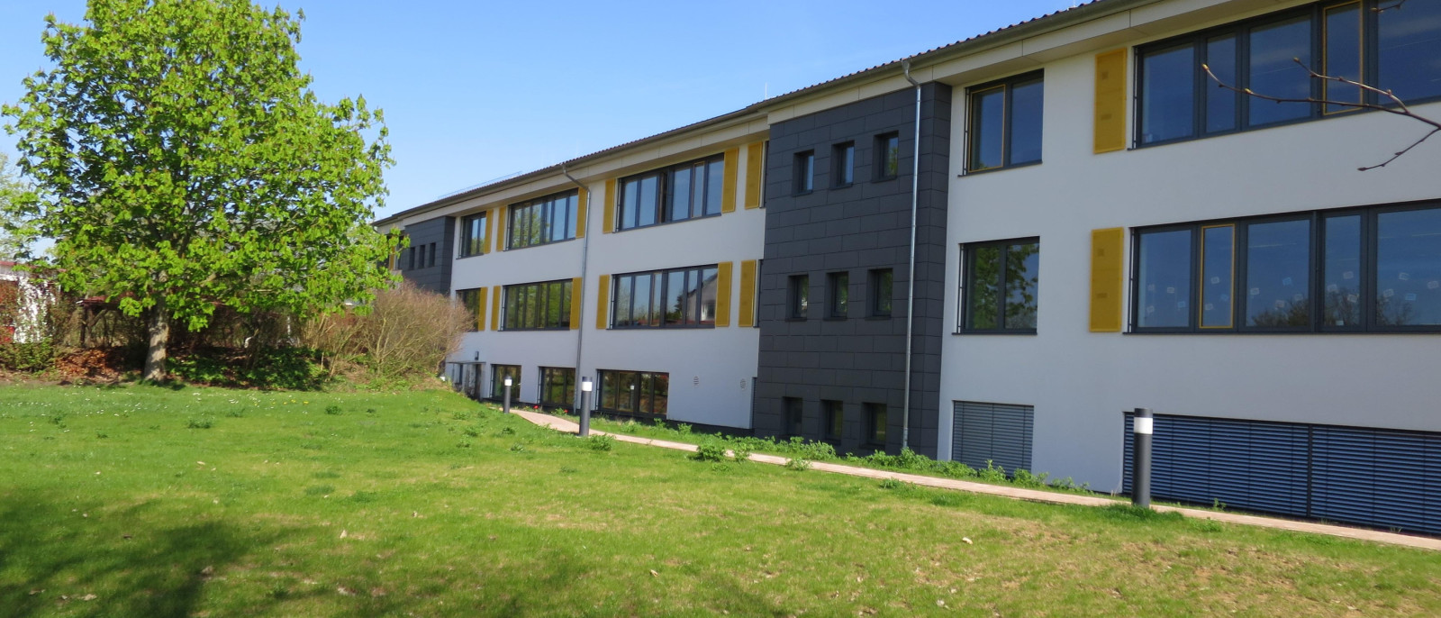 Schulgebäude mit weiß-grauer Fassade und blauer Himmel, Baum im Vordergrund