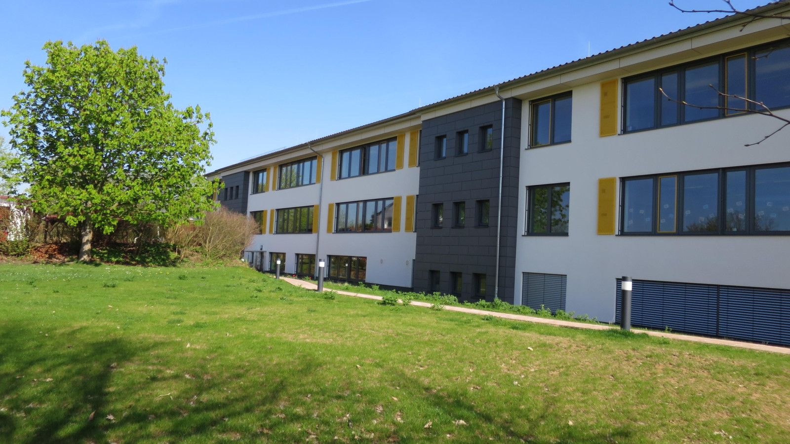 Schulgebäude mit weiß-grauer Fassade und blauer Himmel, Baum im Vordergrund
