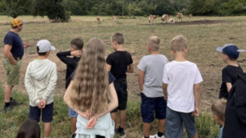 Woche der Alltagskompetenz der 2. Klassen