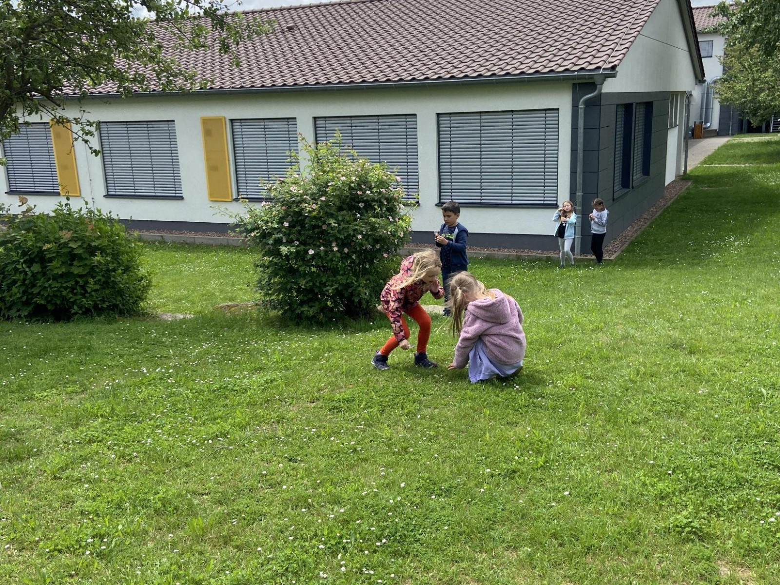 Kinder spielen auf einer Wiese vor einem Gebäude mit gelben Fensterläden.
