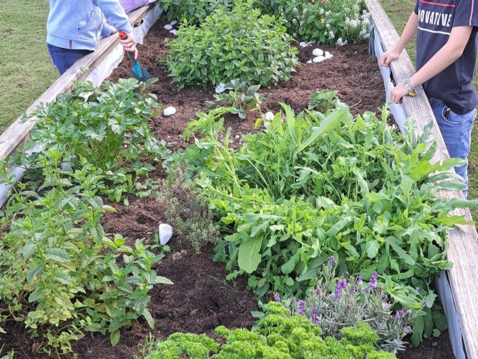 Drei Kinder stehen bei einem erhöhten Kräuterbeet und lächeln in einem Garten.