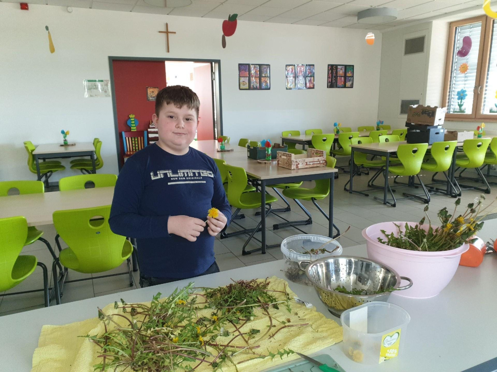 Junge in einer Schulkantine bearbeitet Pflanzen an einem Tisch, leuchtend grüne Stühle im Hintergrund.