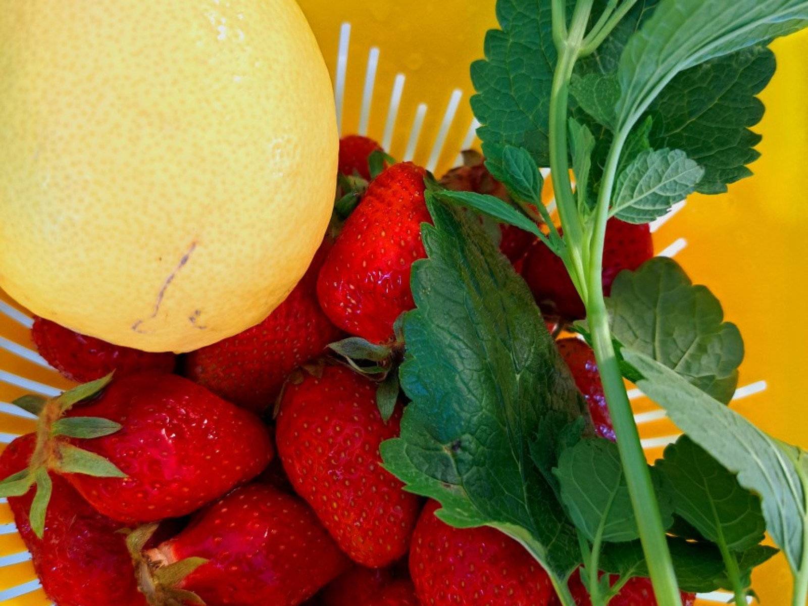 Gelbes Sieb mit Erdbeeren, Zitrone und Kräutern.
