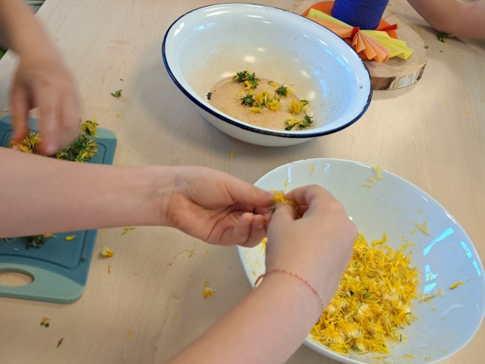 Kinder sitzen an einem Tisch und arbeiten mit Löwenzahnblüten, umgeben von Schüsseln und Bastelmaterialien.