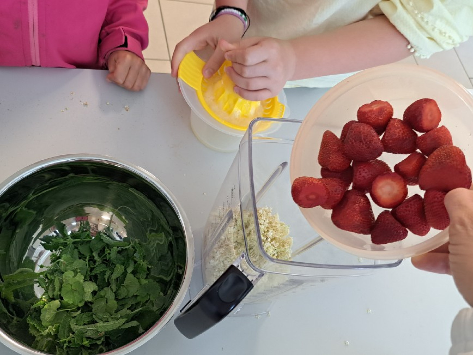 Kinder in der Küche mit Erdbeeren, einer Schüssel Minze und einem Entsafter.