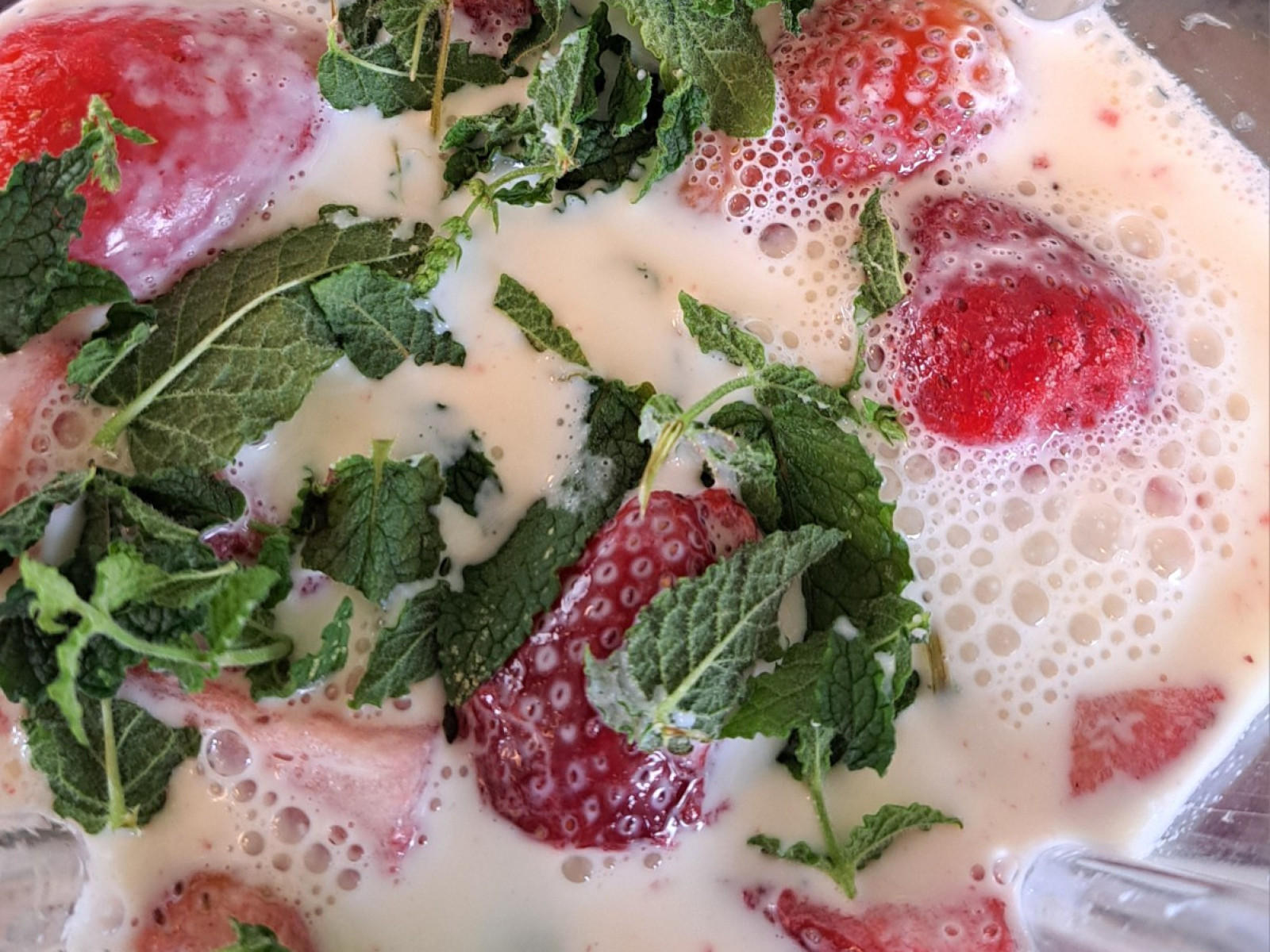 Erdbeeren, Minzblätter und Milch in einem Mixer für einen Smoothie.